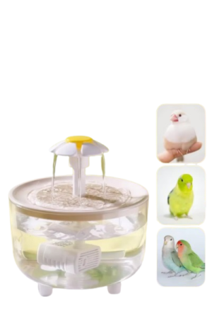 Mini fontaine à eau éxterieur pour oiseaux - image principale - Oasis-de-fontaines