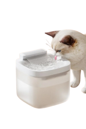 Fontaine filtre eau chat-chien - image principale - Oasis-de-fontaines